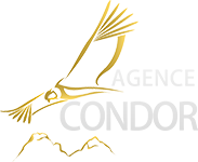 Condor Media